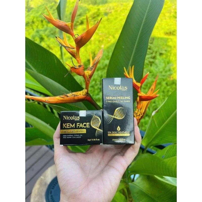 Combo tái sinh Nicolas